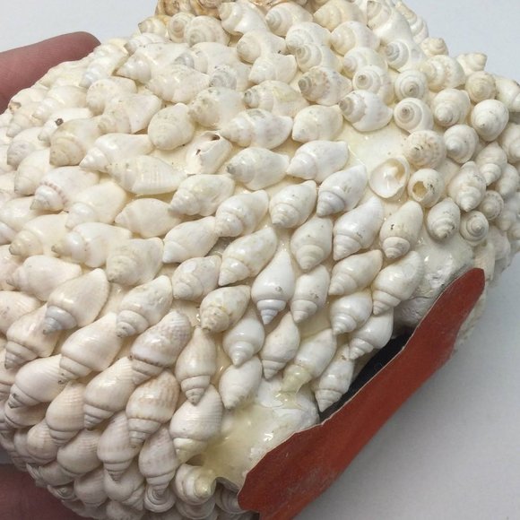 Sea Shell Art Decor Small Pig Vintage - Picture 9 of 12